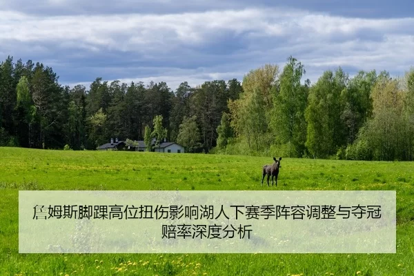 zhan-mu-si-jiao-huai-gao-wei-niu-shang-ying-xiang-hu-ren-xia-sai-ji-zhen-rong-tiao-zheng-yu-duo-guan-pei-lv-shen-du-fen-2-740.jpg